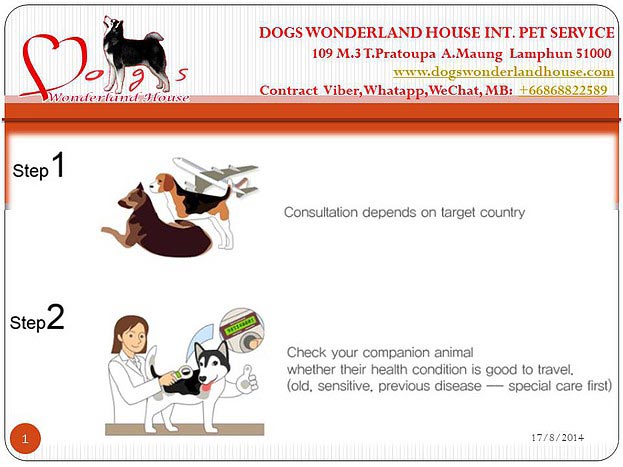 บริการส่งออกสุนัขและแมว , ลูกสุนัข www.dogswonderlandhouse.com/th