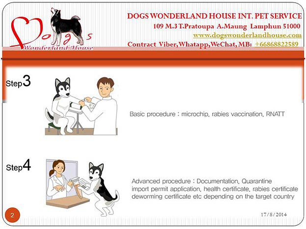 บริการส่งออกสุนัขและแมว , ลูกสุนัข www.dogswonderlandhouse.com/th