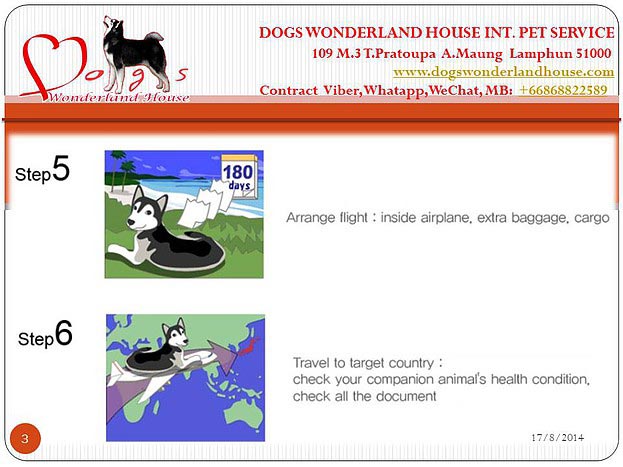 บริการส่งออกสุนัขและแมว , ลูกสุนัข www.dogswonderlandhouse.com/th