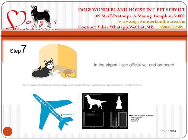 บริการส่งออกสุนัขและแมว , ลูกสุนัข www.dogswonderlandhouse.com/th