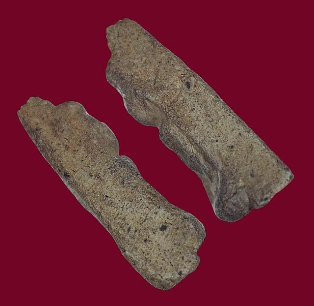 พระนางพญา พิมพ์เข่าโค้ง วัดนางพญา จังหวัดพิษณุโลก