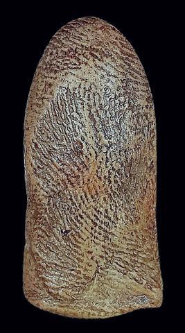 พระรอด กรุวัดมหาวัน จ.ลำพูน พิมพ์ใหญ่