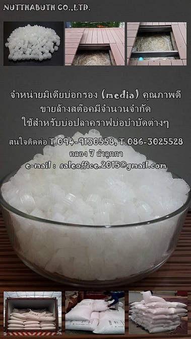 จำหน่ายมิเดียบ่อกรอง (media) คุณภาพดีขายล้างสต๊อคมีจำนวนจำกัด ใช้สำหรับบ่อปลาคราฟบ่อบำบัดต่างๆMedia ทำงานได้ดีตรงที่แบททีเรียที่เกาะตามMedia สามารถสัมผัสกับน้ำได้ทั่วถึงเพราะ Media มีการเคลื่อนที่ตลอดเวลา ข้อดีของ Mediaอีกอย่างคือทำความสะอาดง่ายไม่ต้องยุ่งกับตัวMedia เพียงชักน้ำทิ้งดูดขี้ปลาที่ตกตะกอนออกแค่นั้นเอง แต่ถ้าเป็น JFM ต้องยกออกมาฉีดน้ำล้างข้อเสียที่เห็