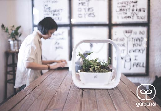 เครื่องปลูกผัก Hydroponics และสวนถาดแบบใช้ในบ้าน พร้อม LED Grow Light (Mini Garden)