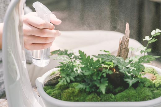 เครื่องปลูกผัก Hydroponics และสวนถาดแบบใช้ในบ้าน พร้อม LED Grow Light (Mini Garden)