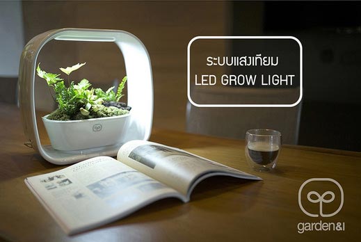 เครื่องปลูกผัก Hydroponics และสวนถาดแบบใช้ในบ้าน พร้อม LED Grow Light (Mini Garden)