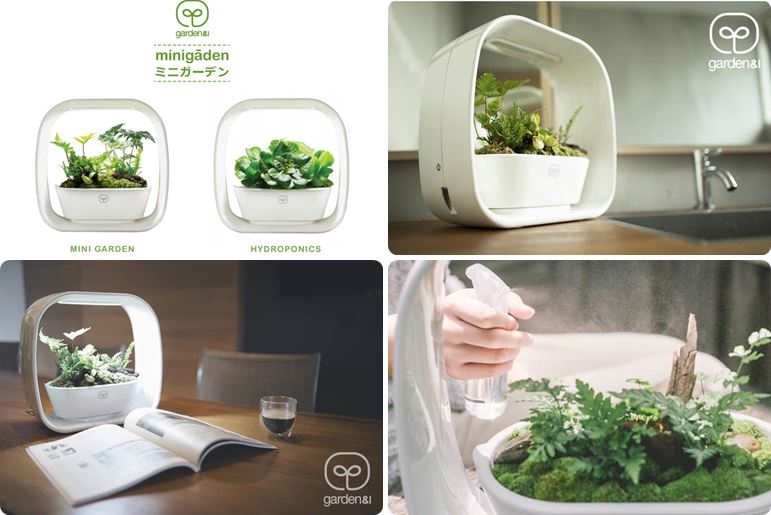 เครื่องปลูกผัก Hydroponics และสวนถาดแบบใช้ในบ้าน พร้อม LED Grow Light (Mini Garden)