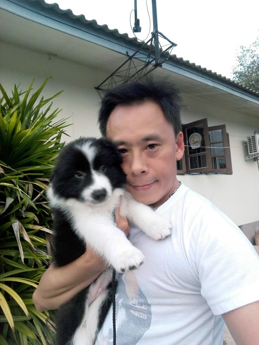 บริการขนย้ายสัตว์เลี้ยง นำเข้าสุนัขและแมว ทุกสายพันธุ์ทั้งจากในประเทศและต่างประเทศ ติดต่อ ด็อกวันเดอร์แลนด์เฮาส์ เพ็ตเซอร์วิส