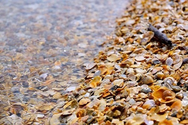 สันหลังมังกร, ทัวร์สันหลังมังกร, เที่ยวสันหลังมังกร, สันหลังมังกร ติดต่อ, สันหลังมังกร โทร, สันหลังมังกร สตูล, สันหลังมังกร ราคา, ทะเลแหวก, เที่ยวทะเลแหวก, ท่องเที่ยวไทย, เที่ยวทะเล, สถานที่ท่องเที่ยวสตูล, เที่ยวสตูล, สันหลังมังกร ตรัง, เที่ยวเกาะ, ที่เที่ยวสตูล, ทัวร์ทะเลแหวก, ที่เที่ยวทะเล, ทัวร์ทะเลใต้, ทัวร์ทะเล, ทะเลน่าเที่ยวในไทย, ทะเลสตูล, ทะเลแหวก สตูล, ท่องเที่ยวสตูล, ที่พักทะเลแหวก