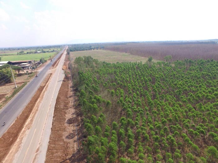 ขายที่ดินจังหวัดชัยภูมิ 2 แปลง 61ไร่ 121MB  โทร. 0854497685