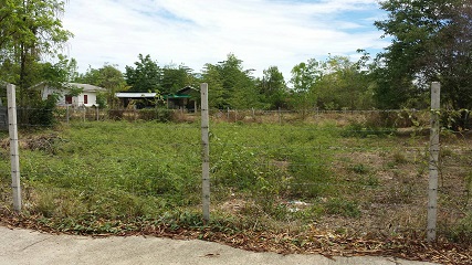 ขายที่ดินเปล่า ซ.วัดต้นผึ้ง อ.สันกำแพง จ.เชียงใหม่