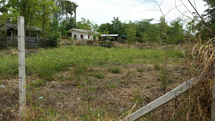 ขายที่ดินเปล่า ซ.วัดต้นผึ้ง อ.สันกำแพง จ.เชียงใหม่