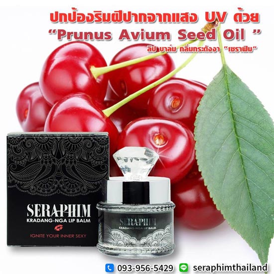 ลิปแก้ปากแห้ง ปากลอก ปากดำ อวดริมฝีปากนุ่ม ชุ่มชื่น ไม่แห้ง ไม่ลอก ไม่ดำคล้ำ ด้วย ลิป บาล์ม กลิ่นกระดังงา เซราฟิม