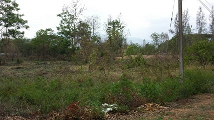 Chinnachot@acuterealty.com