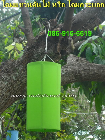 ขายโคม โคมล้านนา โคมกระบอก โคมแขวนต้นไม้ โคมบัวมือถือ โคมจิ๋ว โคมร่ม โคมเพชร โคมพับได้ ปลีก ส่ง