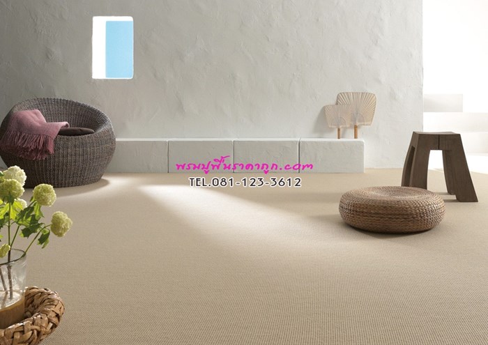 decorsiam3@gmail.com