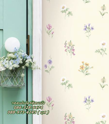 Free wallpapers, wall, wallpaper, wall designs I sell vinyl, grade A 086-328-6474 ((s s)).