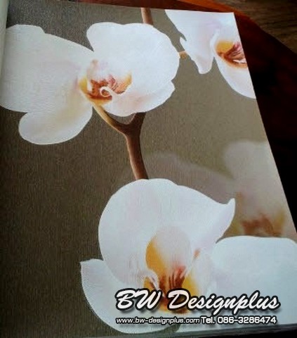 Free wallpapers, wall, wallpaper, wall designs I sell vinyl, grade A 086-328-6474 ((s s)).