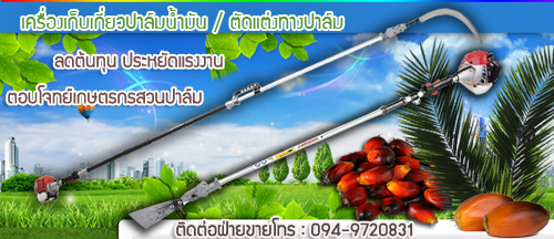 ขายเครื่องแทงทางปาล์มน้ำมันอัตโนมัติ ไทยนต์การเกษตร