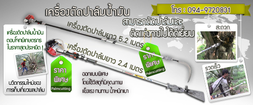 ขายเครื่องแทงทางปาล์มน้ำมันอัตโนมัติ ไทยนต์การเกษตร