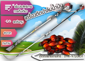 ขายเครื่องแทงทางปาล์มน้ำมันอัตโนมัติ ไทยนต์การเกษตร