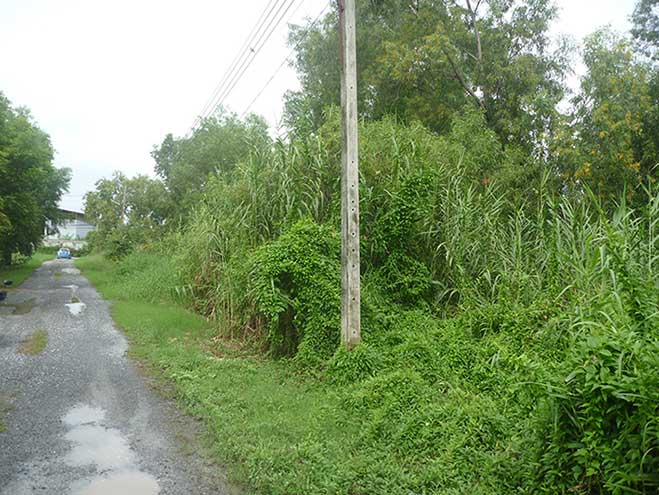 จตุโชติ 10 สุขาภิบาล 5 เข้าซอยเพียง 500 เมตร ติดกับรั้วโครงการหรูมีระดับของแลนด์ฯ" ชัยพฤกษ์ จตุโชติ " ใกล้ สนง.เขตสายไหม และถ.ตัดใหม่ลัดไปพหลฯ ขายถูก ทำเลดี ที่ดินแปลงสวย190 วา