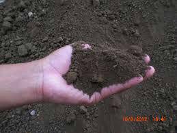 รับส่งหน้าดินปลูกต้นไม้ รับเหมาถมที่ดิน รับเหมาถมดิน รับถมที่ดินก่อสร้าง ดินลูกรัง ส่งหิน หินคลุก หินเกล็ด ทราย ทรายถม ทรายละเอียด ฉาบปูน ทรายหยาบ รถ6ล้อ รถแบคโคให้เช่า ทั้งรายวันรายเดือน ราคากันเอง โทร 0874971315