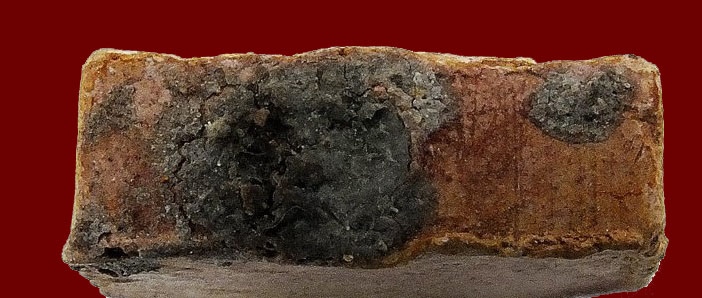 แม่นางกวัก หลวงพ่อฉาว เกสโร (เนื้อดิน)  วัดสว่างชาติประชาบำรุง จ นครปฐม