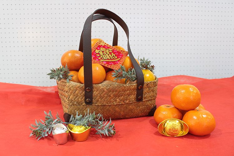 หมอช้าง  แนะเก็บกวาดบ้านเสริมฮวงจุ้ย เฮงๆรวยๆ รับตรุษจีน by GiftnGo.Gift