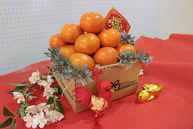 5 ผลไม้มงคลเทศกาลตรุษจีน กินแล้วสุขภาพดี เฮงตลอดปี  by GiftnGo.Gift