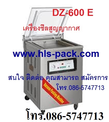 เครื่องซีลสูญญากาศ เครื่องแพ็คสูญญากาศแบบฝาสวิง ราคาถูก รุ่น DZ-600/2SB