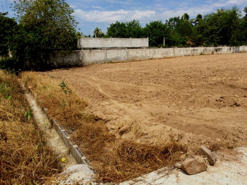 ขายที่ดิน หนองปลาไหล พัทยา  100 วา  990,000 บาท