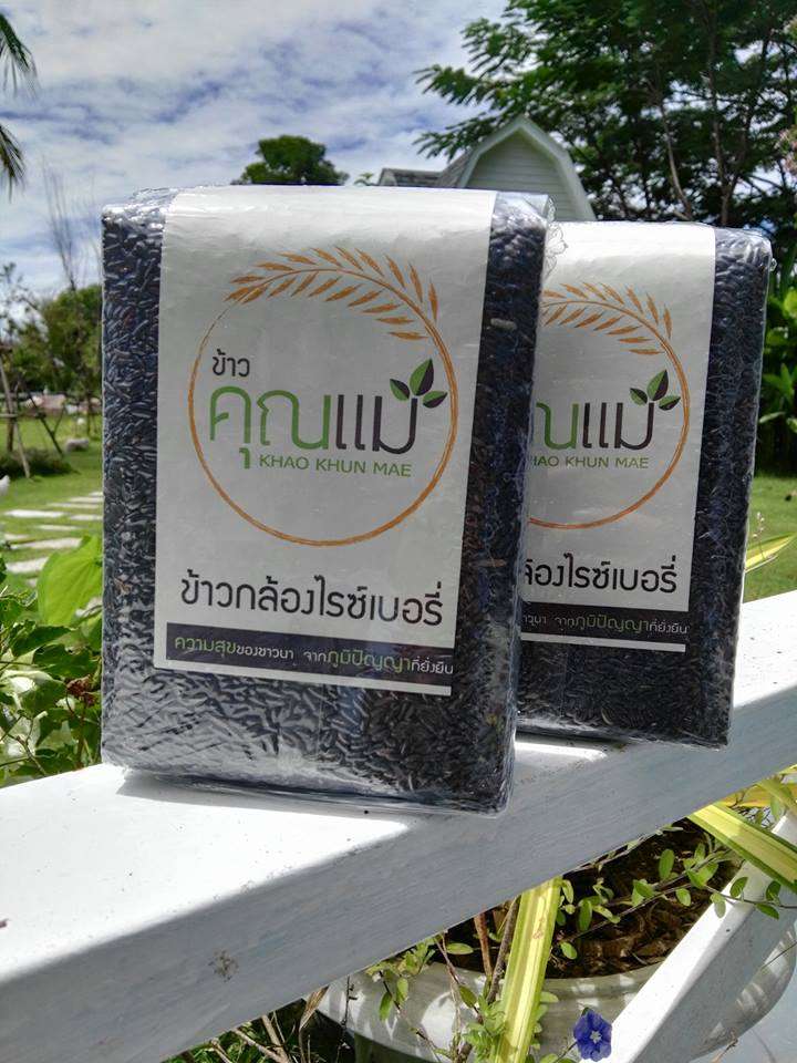 ข้าวไรซ์เบอร์รี ข้าวสายพันธุ์ใหม่ ธัญพืชเพื่อสุขภาพ