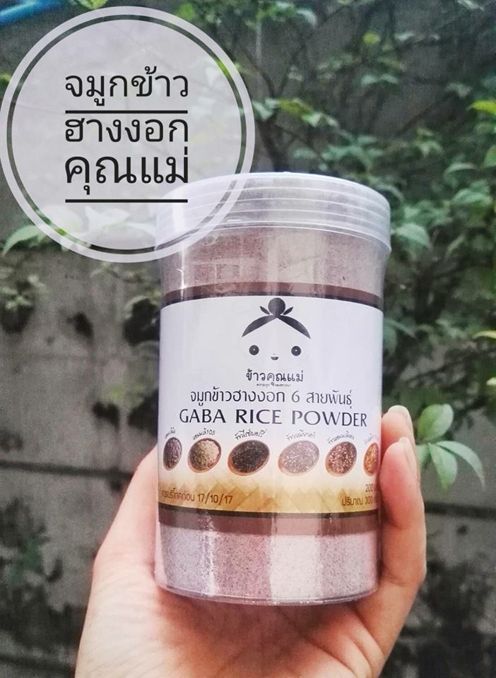 จมูกข้าวฮางงอก 6 สายพันธุ์ จมูกข้าวที่มีคุณค่าทางอาหาร