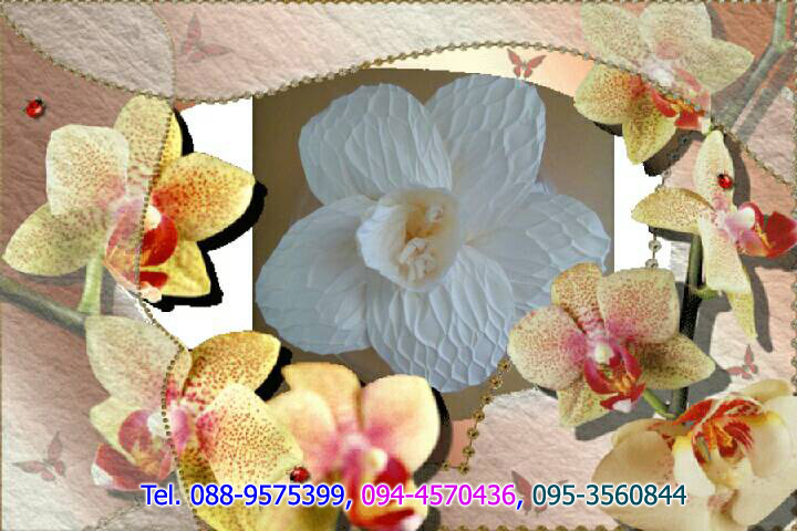 รับสอนทำดอกไม้จันทน์ และรับสั่งทำดอกไม้จันทน์ รับสั่งทำดอกเดี่ยว ช่อประธาน ดอกไม้ปักพวงหรีด