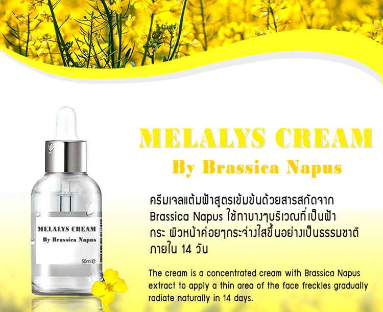 โรงงาน Prolabthai รับผลิตเครื่องสำอางค์ วิตามิน และอาหารเสริม ภายใต้แบรนด์ของคุณ