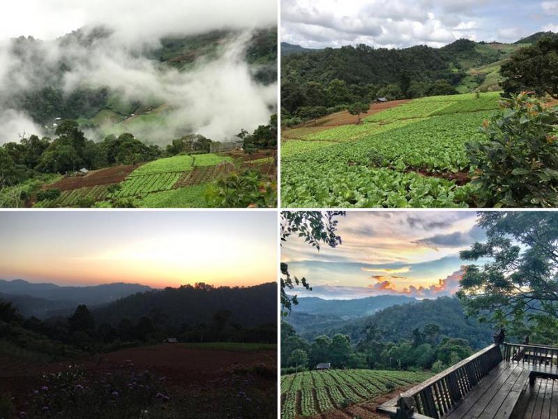 ร้านอาหาร บ้านม่อนม่วน ดอยม่อนแจ่ม แม่ริม เชียงใหม่ จัดบุฟเฟต์อาหารเมืองแบบจุใจ 28 ธค60-3มค61 นี้ จองด่วน!