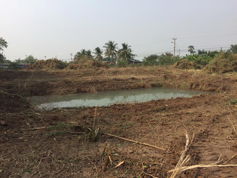 ให้เช่าที่ดินขนาด 4 ไร่ 2งาน ถมแล้ว ติดถนนคอนกรีต หน้ากว้าง 120 เมตร อยู่ คลองควาย สามโคก ปทุมธานี