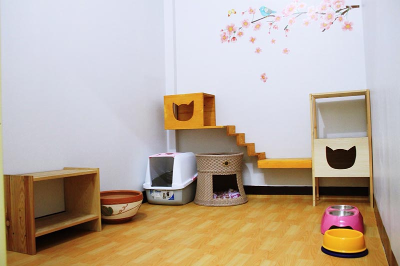 โรงแรมแมว Pao Cat Hotel ฝากแมวนนทบุรี ฝากแมวรัตนาธิเบศร์ บริการรับฝากเลี้ยงแมว รับฝากแมว รับฝากแมวรายวัน สะดวกสบาย สะอาดปลอดภัย Tel 085-8959156โรงแรมแมวPaoCatHotelรับฝากแมว ดูแลแมว ห้องกว้างขวาง อากาศถ่ายเท สะอาด ปลอดภัย ภายในห้องพักเงียบสงบ พร้อมทั้งดูแลแมวด้วยความรักและเอาใจใส่สิ่งอำนวยความสะดวก - ห้องพัดลมหรือห้องแอร์ - มีพัดลมระบายอากาศทุกห้อง- เตรียมชามข้าว-ชามน้ำ กระ