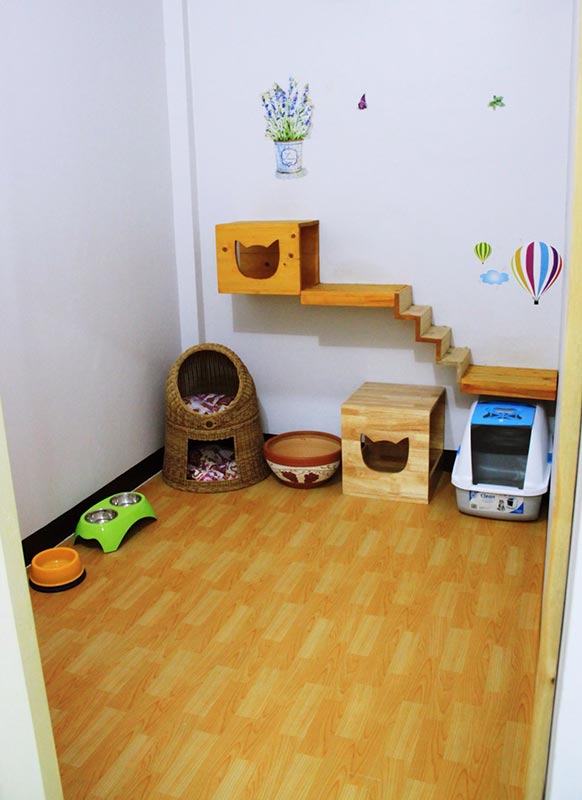 โรงแรมแมว Pao Cat Hotel ฝากแมวนนทบุรี ฝากแมวรัตนาธิเบศร์ บริการรับฝากเลี้ยงแมว รับฝากแมว รับฝากแมวรายวัน สะดวกสบาย สะอาดปลอดภัย Tel 085-8959156โรงแรมแมวPaoCatHotelรับฝากแมว ดูแลแมว ห้องกว้างขวาง อากาศถ่ายเท สะอาด ปลอดภัย ภายในห้องพักเงียบสงบ พร้อมทั้งดูแลแมวด้วยความรักและเอาใจใส่สิ่งอำนวยความสะดวก - ห้องพัดลมหรือห้องแอร์ - มีพัดลมระบายอากาศทุกห้อง- เตรียมชามข้าว-ชามน้ำ กระ