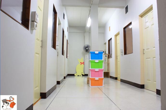 โรงแรมแมว Pao Cat Hotel ฝากแมวนนทบุรี ฝากแมวรัตนาธิเบศร์ บริการรับฝากเลี้ยงแมว รับฝากแมว รับฝากแมวรายวัน สะดวกสบาย สะอาดปลอดภัย Tel 085-8959156โรงแรมแมวPaoCatHotelรับฝากแมว ดูแลแมว ห้องกว้างขวาง อากาศถ่ายเท สะอาด ปลอดภัย ภายในห้องพักเงียบสงบ พร้อมทั้งดูแลแมวด้วยความรักและเอาใจใส่สิ่งอำนวยความสะดวก - ห้องพัดลมหรือห้องแอร์ - มีพัดลมระบายอากาศทุกห้อง- เตรียมชามข้าว-ชามน้ำ กระ