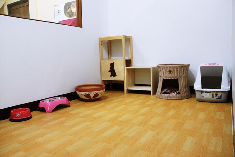 โรงแรมแมว Pao Cat Hotel ฝากแมวนนทบุรี ฝากแมวรัตนาธิเบศร์ บริการรับฝากเลี้ยงแมว รับฝากแมว รับฝากแมวรายวัน สะดวกสบาย สะอาดปลอดภัย Tel 085-8959156โรงแรมแมวPaoCatHotelรับฝากแมว ดูแลแมว ห้องกว้างขวาง อากาศถ่ายเท สะอาด ปลอดภัย ภายในห้องพักเงียบสงบ พร้อมทั้งดูแลแมวด้วยความรักและเอาใจใส่สิ่งอำนวยความสะดวก - ห้องพัดลมหรือห้องแอร์ - มีพัดลมระบายอากาศทุกห้อง- เตรียมชามข้าว-ชามน้ำ กระ