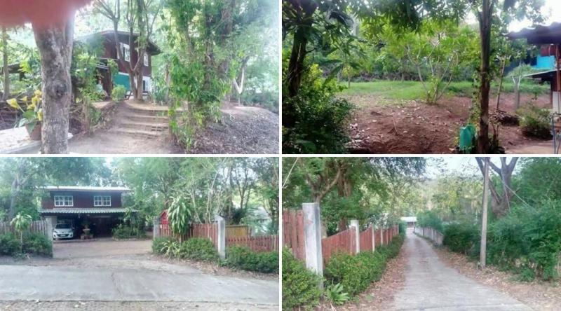 ให้เช่าบ้านที่ดินเเม่ฮ่องสอน / คนรักแม่ฮ่องสอน/ บ้าน พร้อมที่ดิน แม่ฮ่องสอน For Rent mea hong son