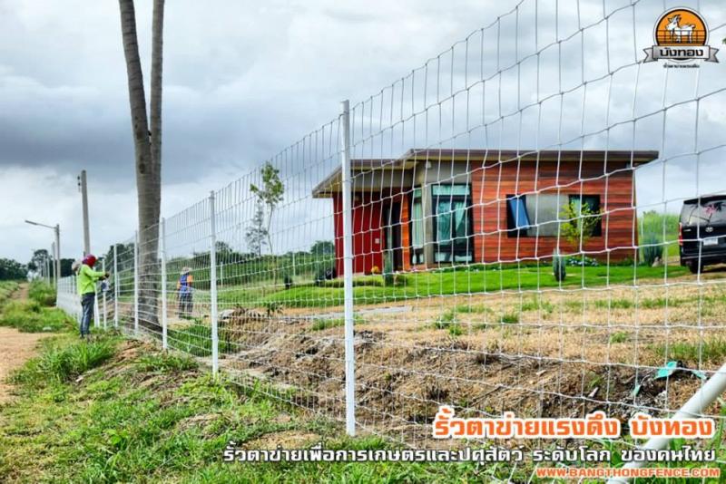 รั้วตาข่ายแรงดึง สำหรับล้อมบ้าน ฟาร์ม ปศุสัตว์ ทน เเข็งเเรง กันสนิม ราคาไม่แพง