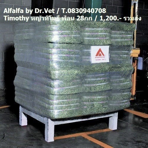 Promotion Alfalfa,ทิมโมธี Anderson Farm,USA หญ้าอาหารสัตว์ ม้า กระต่าย แก็สบี้ แบบฟ่อน กระสอบ 15,25กก