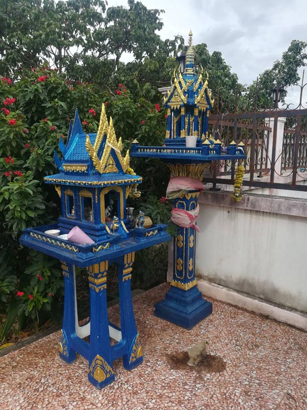 ขายบ้านพร้อมที่ดิน & สวนลำไย 50 ต้น @เชียงใหม่ ราคาพิเศษสุดๆ