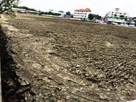 ต้องการถมดิน ถมดินทำสวน ถมหินคลุก ปูหญ้า ดินลูกรังทำถนน ทั่วกรุงเทพฯ และ ปริมณฑล