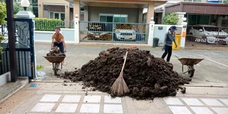 ต้องการถมดิน ถมดินทำสวน ถมหินคลุก ปูหญ้า ดินลูกรังทำถนน ทั่วกรุงเทพฯ และ ปริมณฑล