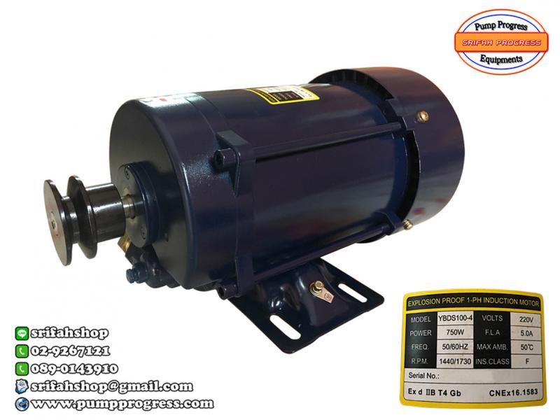 มอเตอร์ตู้จ่ายน้ำมัน 1 Hp มอเตอร์กันระเบิด มอเตอร์ไฟฟ้า มอเตอร์ปั๊ม มอเตอร์สำหรับอุปกรณ์งานน้ำมัน