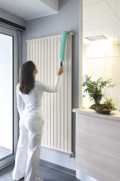 HYGEN Microfiber Flexible Dusting Wand : ไม้ปัดฝุ่นทำความสะอาดสะอาด แบบงอได้